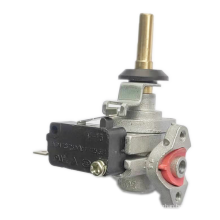 Micro Switch Pulse Ignition Built in Valve